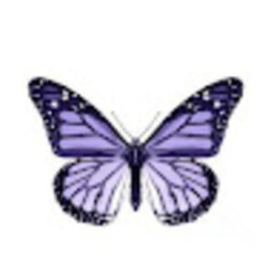 Meet your Posher, Lib